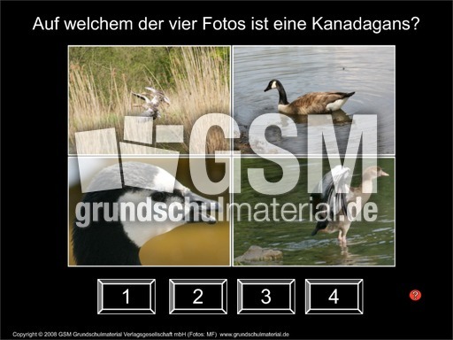 Test_ Enten-Gänse-Bilder-zuordnen.pdf